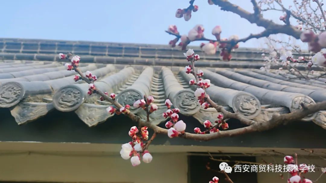 微信圖片_20221117110326.jpg